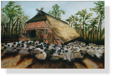 Heidschnucken (13)
60 x 90 cm, 1999