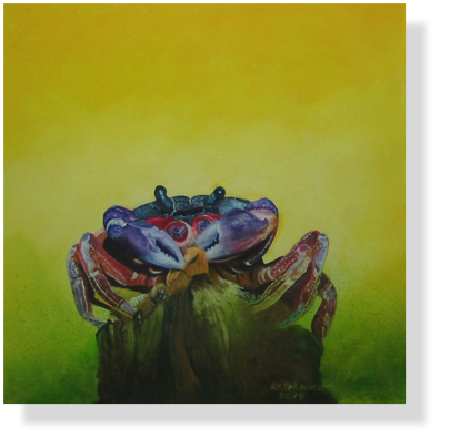 Halloween-Krabbe (88)
40 x 40 cm, 2014