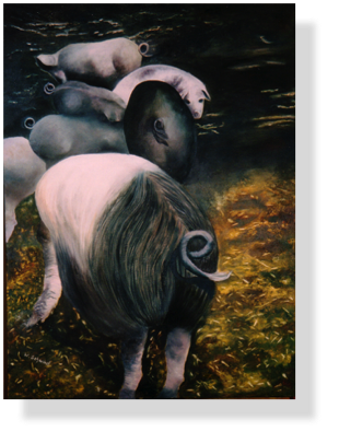 Schweinerei (19)
80 x 60 cm, 2002