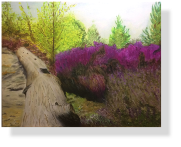 Heidespaziergang (105)
30 x 40 cm, 2017